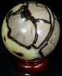 Beautiful Polished Septarian Sphere #32014-2